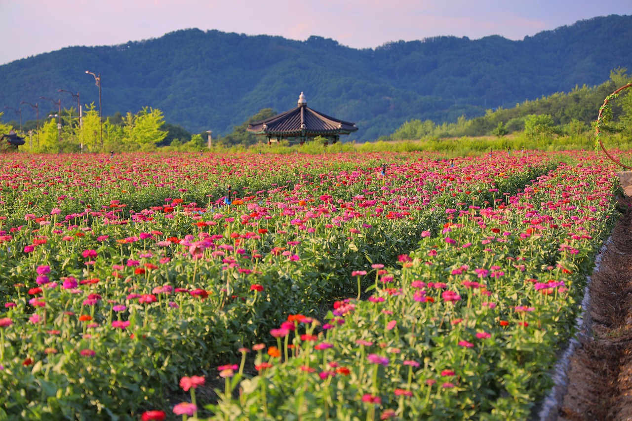 안동 한우 직판장