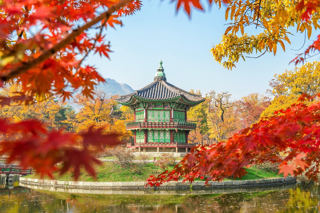 대한민국 곶감축제