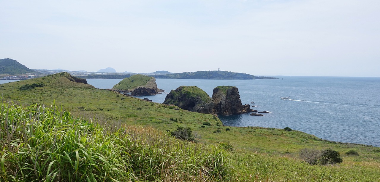 제주 벌초대행