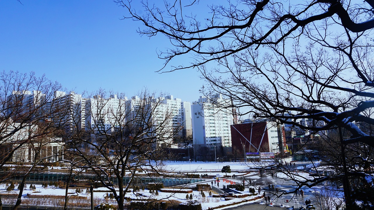 서울디지털대학