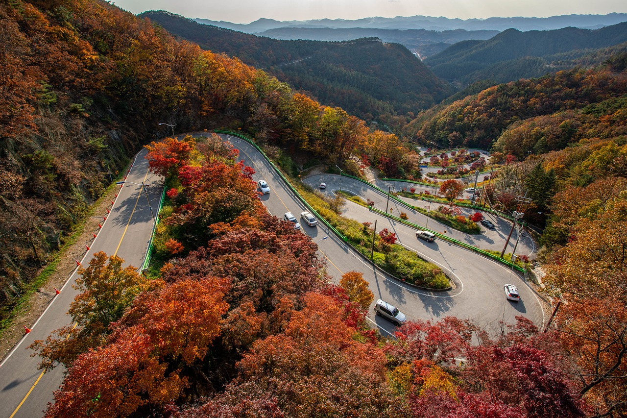 대한민국 곶감축제