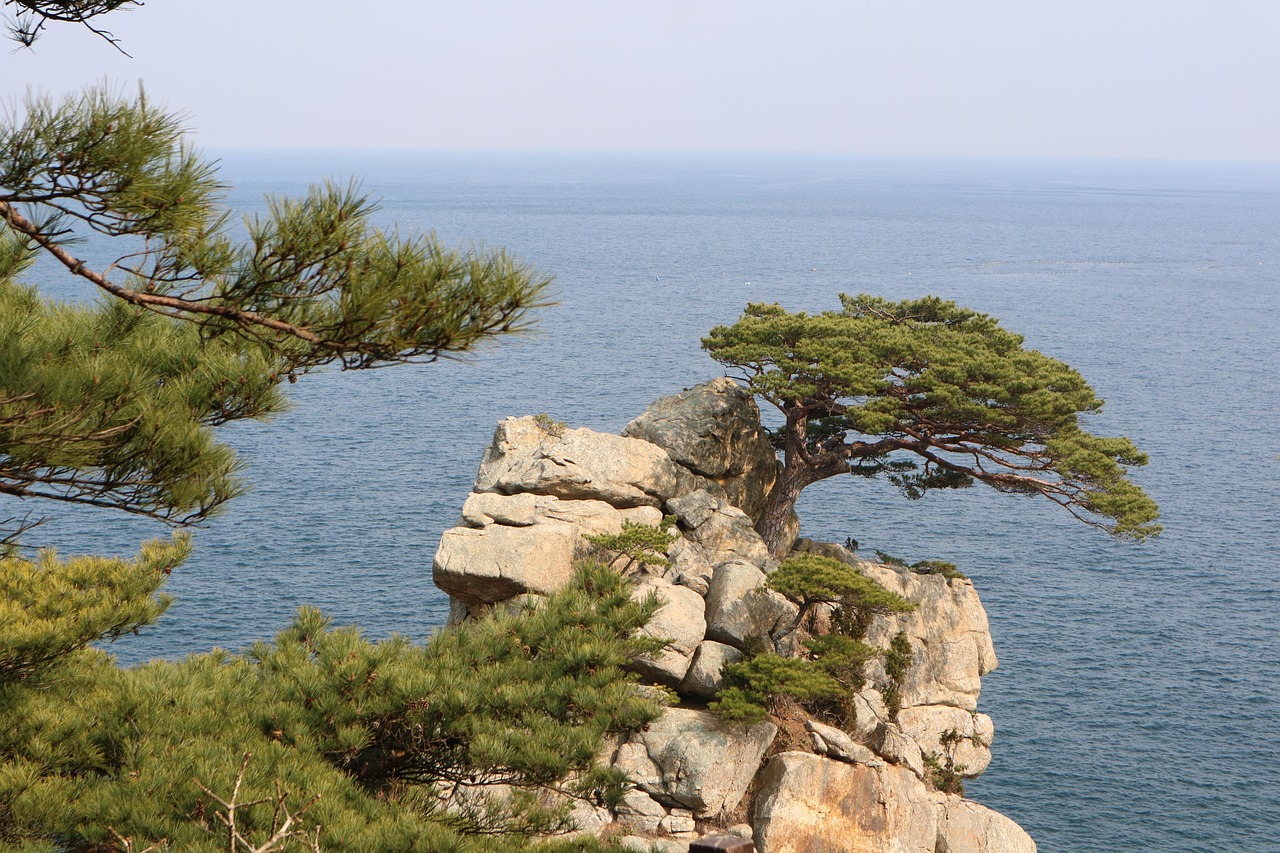 당진 해송