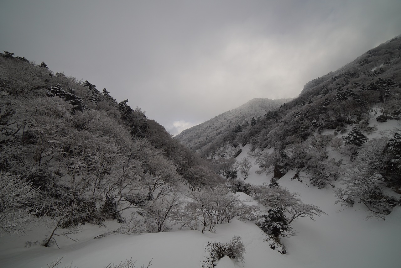울산 휠복원