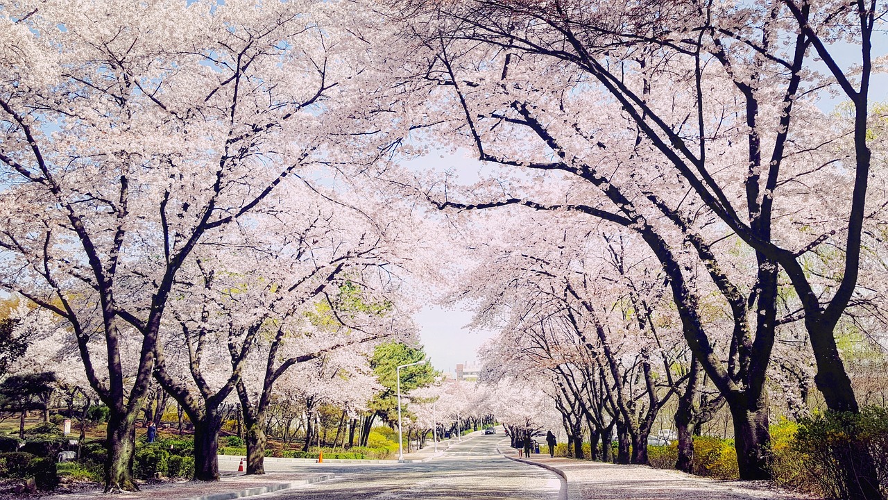 대구 간호조무사 국비지원
